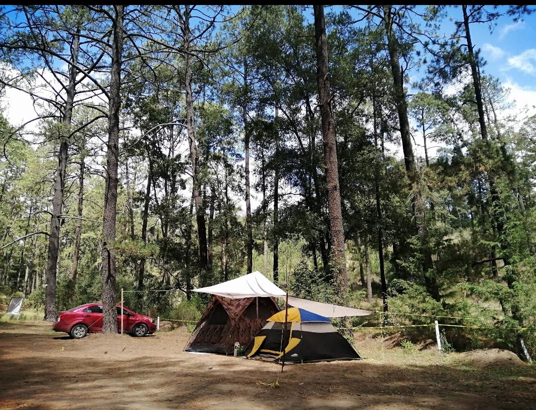 Campamento en el bosque