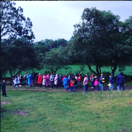 Caminatas en el bosque